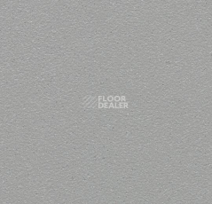 Линолеум Forbo SureStep Laguna 181922 concrete фото 1 | FLOORDEALER